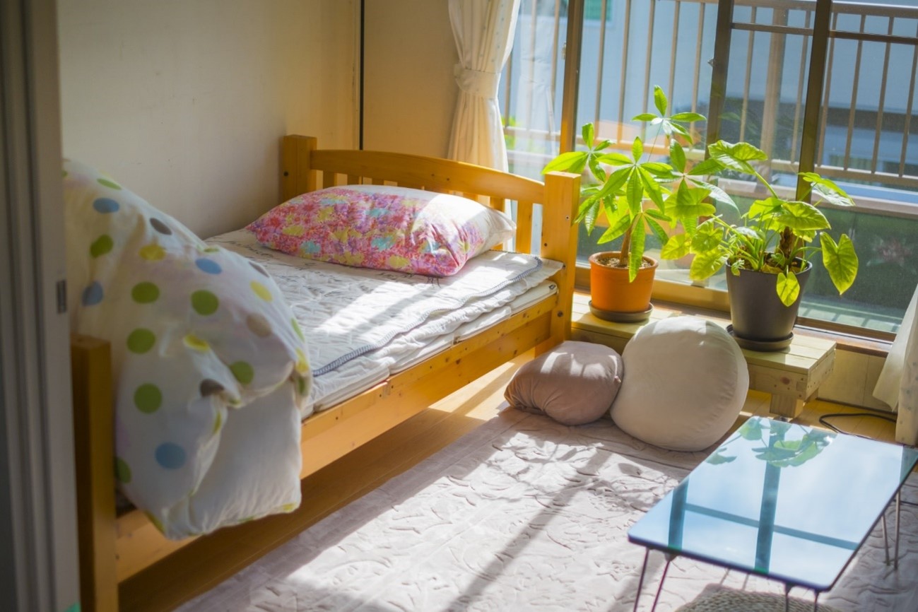 ベッド　観葉植物　日光