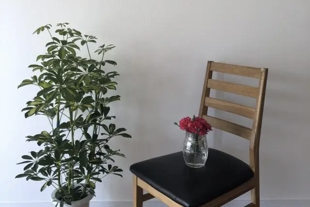 観葉植物と椅子と花瓶