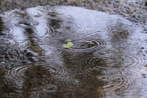 雨の日の引越しはどう対策すればいい？