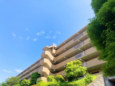 空 マンション 木
